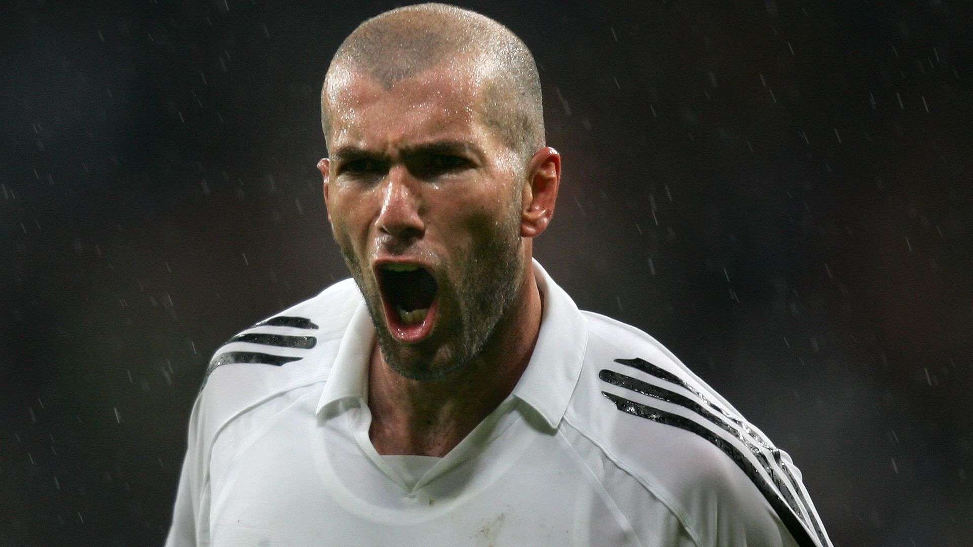 崇的精神将 崇的精神将